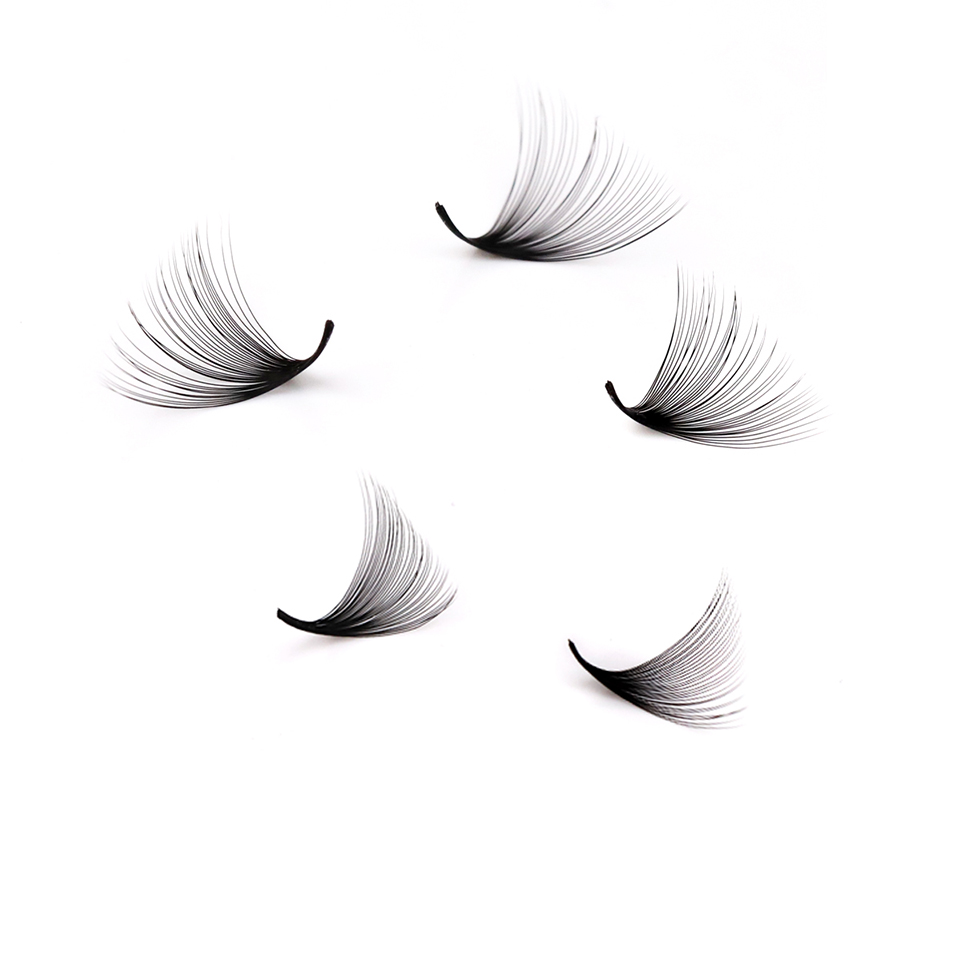 Lashprofessor XL Tray 3D 4D 5D – Mega Volume Lash recenzja i cena