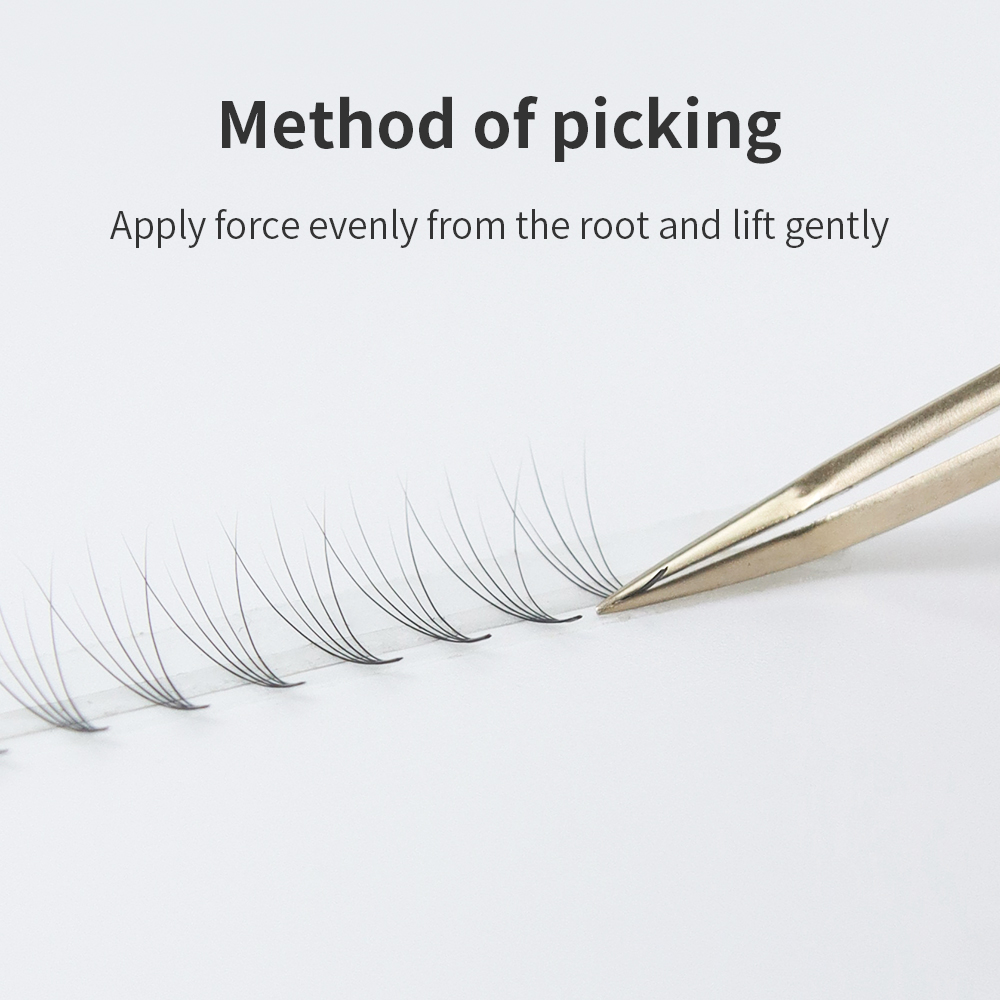 GLAMLASH Premade Volume Fan Ey – Mega Volume Lash recenzja i cena